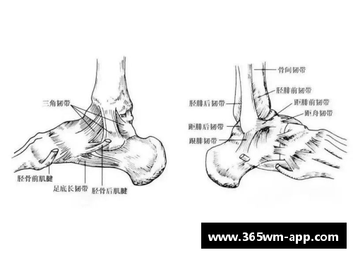 脚踝韧带受伤与康复：疼痛背后的治疗之道